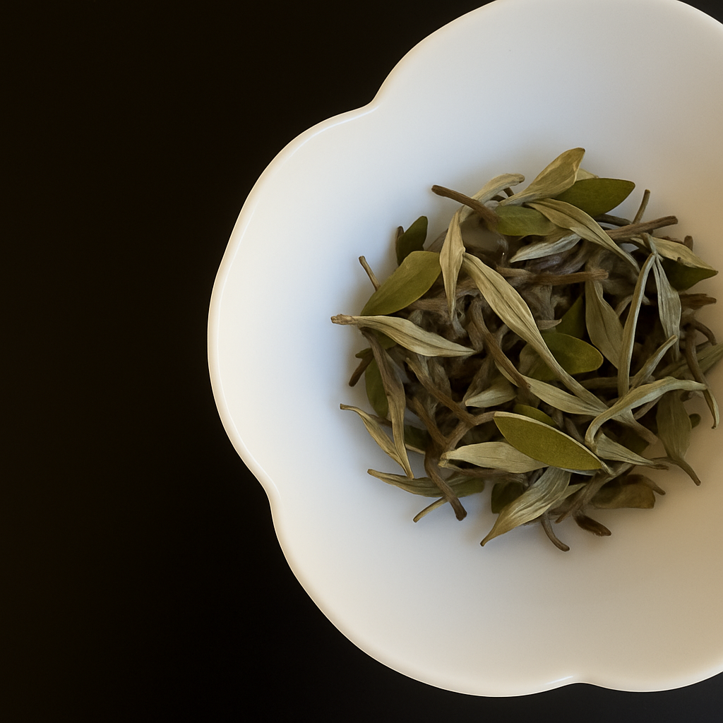 Bai Mudan loose tea in a white dish